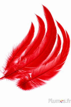 Gallo - 20-25 cm - rosso